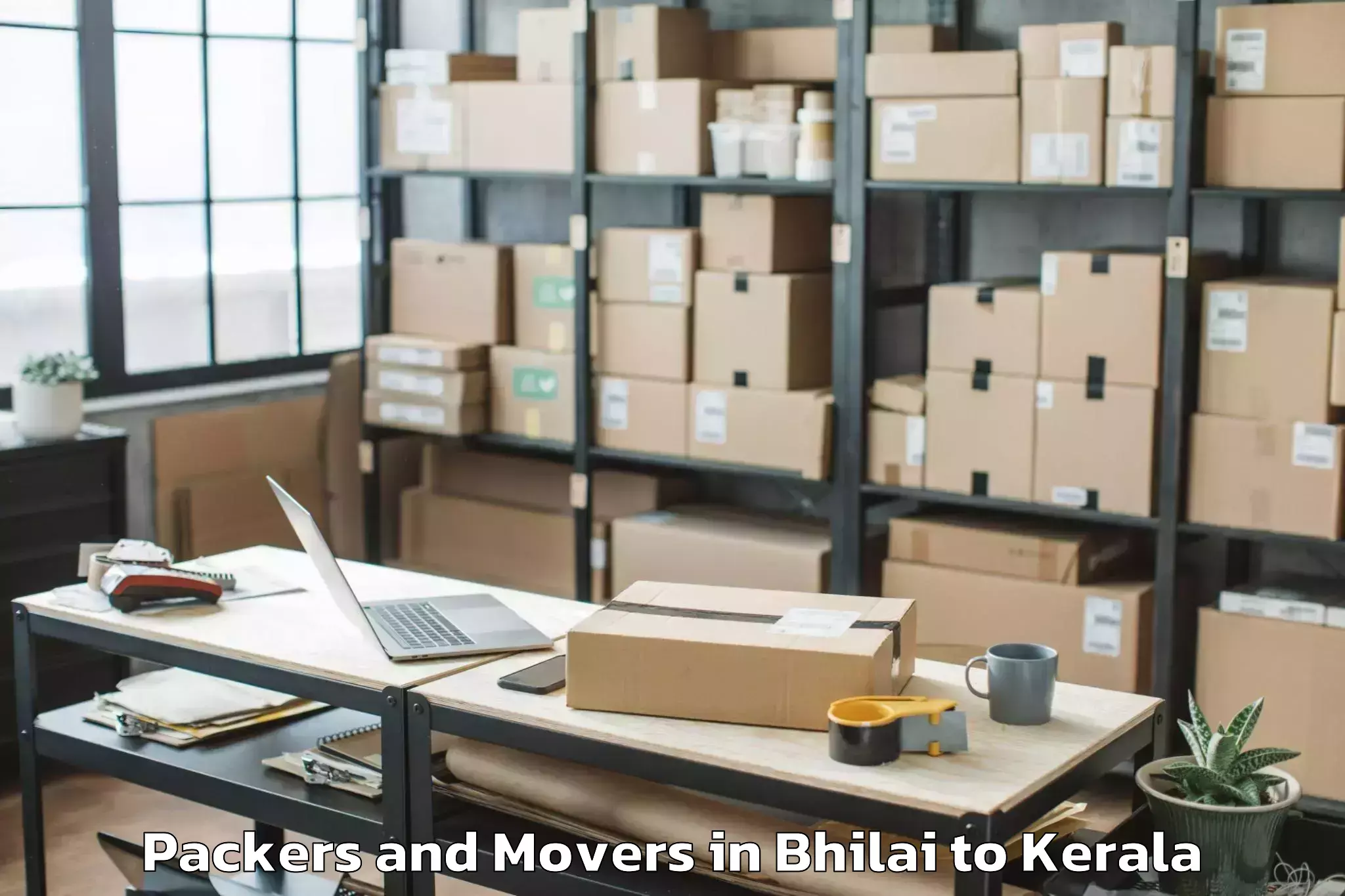 Professional Bhilai to Meenachil Packers And Movers